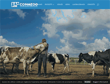 Tablet Screenshot of comazoo.it